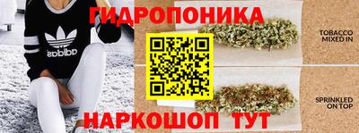 наркотики Тверь